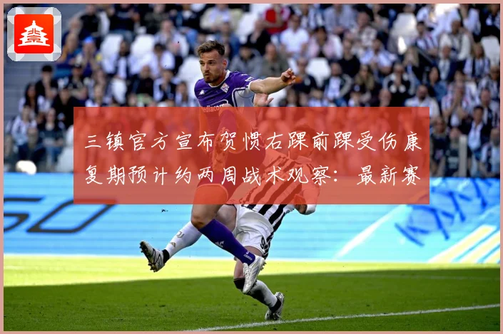 三镇官方宣布贺惯右踝前踝受伤康复期预计约两周战术观察：最新赛事动态与深度分析